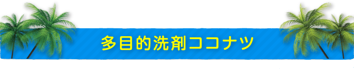 多目的洗剤ココナツ